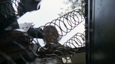 twd0610-1533.jpg