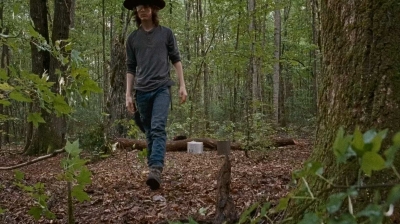 twd0610-1744.jpg