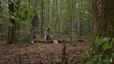 twd0610-1750.jpg