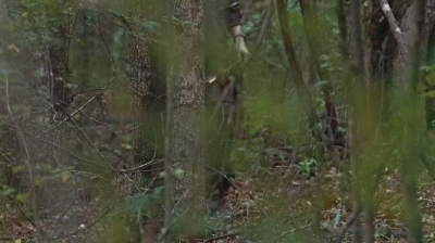 twd0610-1821.jpg