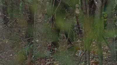 twd0610-1824.jpg