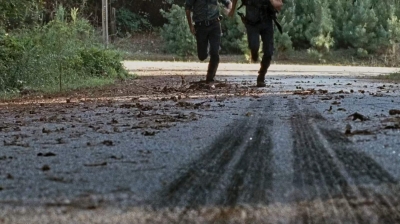 twd0610-1893.jpg