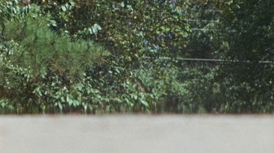 twd0610-1909.jpg