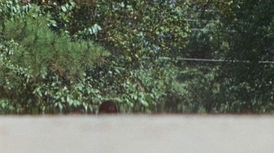 twd0610-1919.jpg