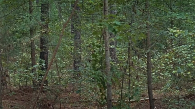 twd0610-2540.jpg