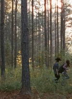 twd0610-1417.jpg