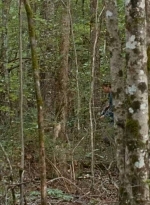 twd0610-1651.jpg