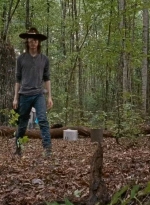 twd0610-1742.jpg
