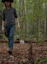 twd0610-1744.jpg
