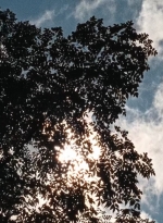 twd0610-1766.jpg