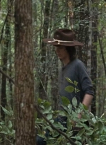 twd0610-1770.jpg