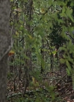 twd0610-1776.jpg