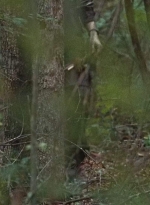 twd0610-1821.jpg