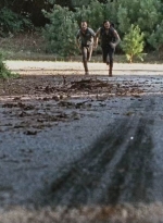 twd0610-1886.jpg