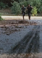 twd0610-1887.jpg