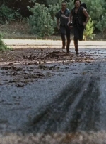 twd0610-1890.jpg