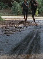twd0610-1891.jpg