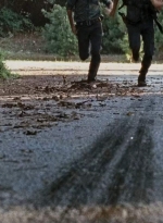 twd0610-1893.jpg