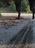 twd0610-1894.jpg