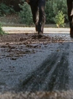 twd0610-1895.jpg
