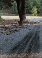 twd0610-1896.jpg