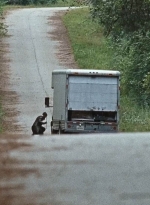 twd0610-1917.jpg