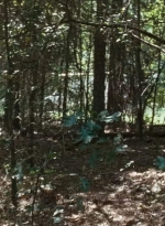 twd0610-1922.jpg