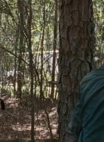 twd0610-1937.jpg