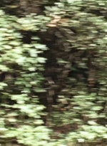 twd0610-1960.jpg