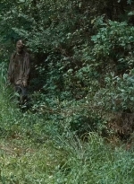 twd0610-1966.jpg