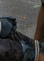 twd0610-2037.jpg