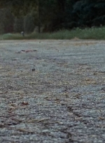 twd0610-2139.jpg