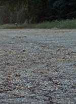 twd0610-2140.jpg