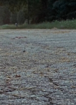 twd0610-2144.jpg