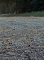twd0610-2145.jpg