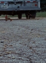 twd0610-2147.jpg