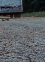 twd0610-2148.jpg