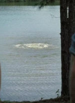 twd0610-2379.jpg