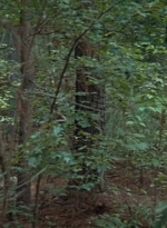 twd0610-2544.jpg