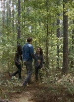 twd0610-2622.jpg