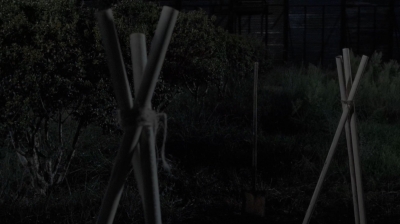 twd0611-0513.jpg