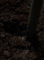 twd0611-0424.jpg