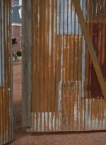 twd0611-1740.jpg