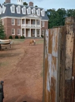 twd0611-1761.jpg