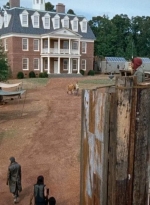 twd0611-1766.jpg