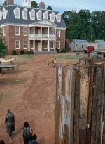 twd0611-1767.jpg