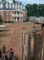 twd0611-1771.jpg