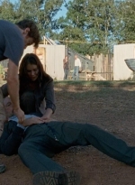 twd0611-2780.jpg