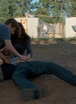 twd0611-2784.jpg