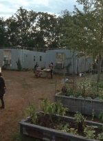 twd0611-3423.jpg